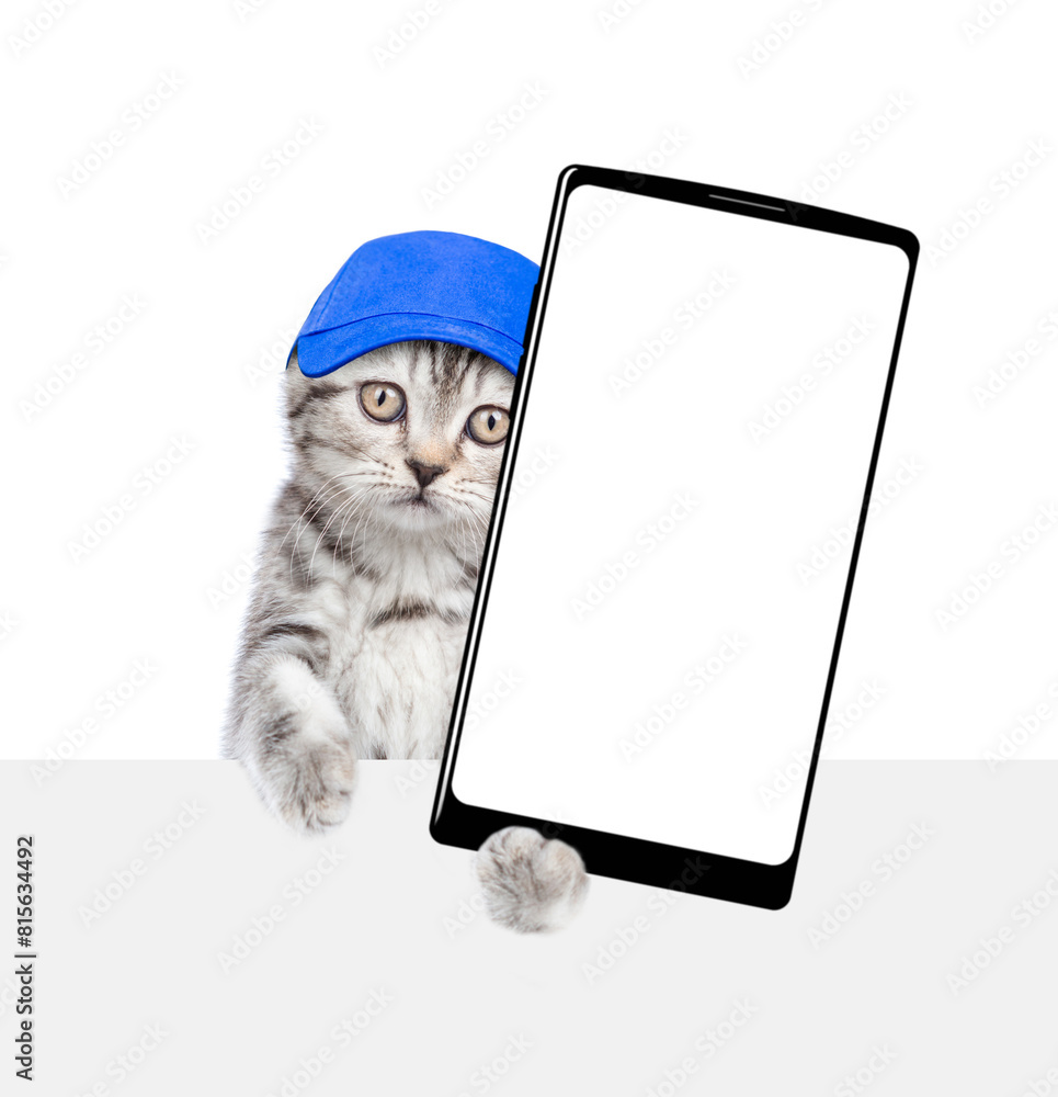 Poster cute kitten wearing blue cap holds big smartphone with white blank screen in it paw above empty whit