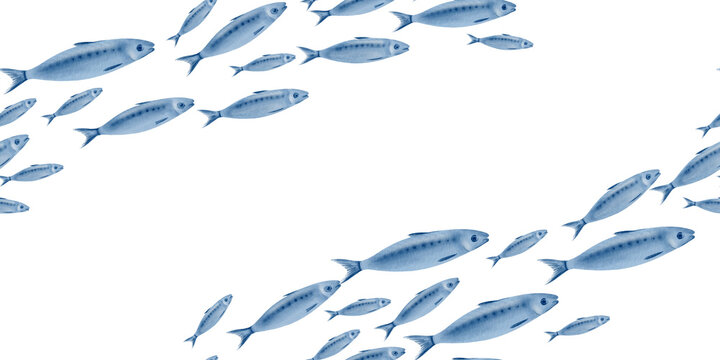 Sardine fish in seamless diagonal border swimming in a shoal stylized watercolor illustration for fish restaurants, websites, posters, fish markets and stores
