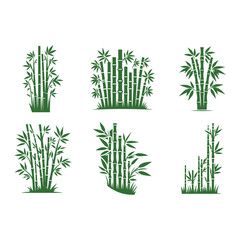 bamboo illustration bundle 