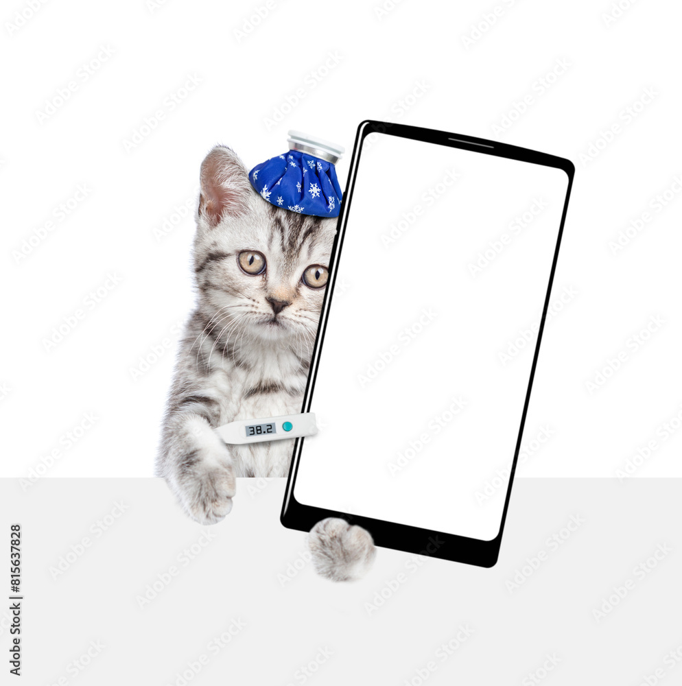 Poster sad sick kitten with ice bag or ice pack on his head shows big smartphone with empty screen above em