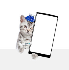 Sad sick kitten with ice bag or ice pack on his head shows big smartphone with empty screen above...