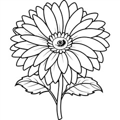 Fototapeta premium Gerbera Daisy flower outline illustration coloring book page design, Gerbera Daisy flower black and white line art drawing coloring book pages for children and adults 