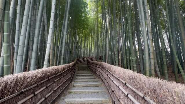 Stairs Through Bamboo Grove Forest At Adashino Nenbutsu-ji Temple In Kyoto, Japan. POV Shot