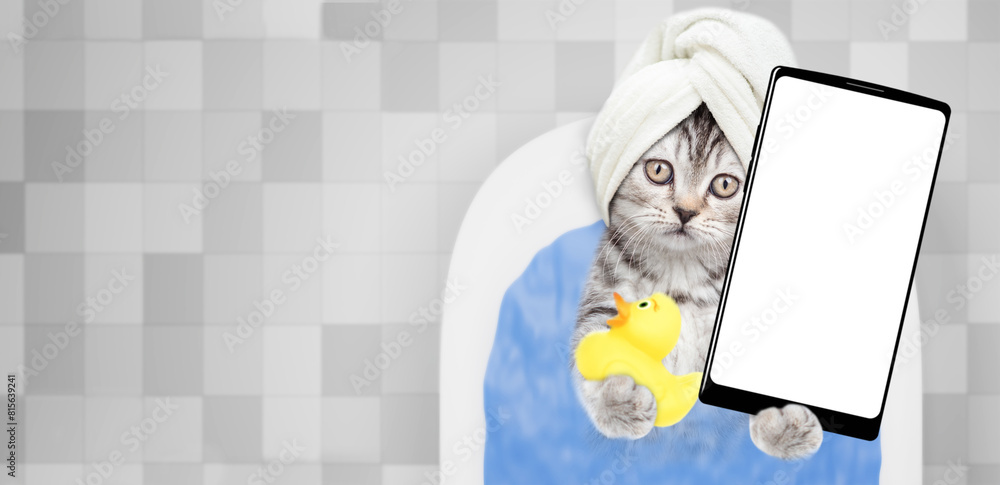 Poster cute kitten with towel on it head takes the bath with rubber duck at home and shows big smartphone w