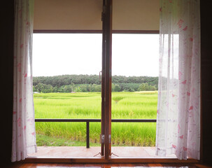 Opening door with curatin to look at rice field view.