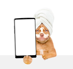 Mastiff puppy with towel on it head, with cream on it face holds big smartphone with white blank screen in it paw above empty white banner. isolated on white background
