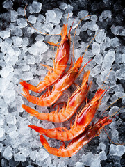 Fresh prawns placed on ice against a dark blue background, seen from a top view with ample copy...