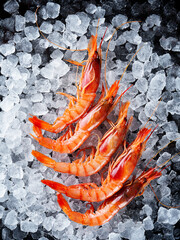Fresh prawns placed on ice against a dark blue background, seen from a top view with ample copy space. Emphasizing a seafood concept.