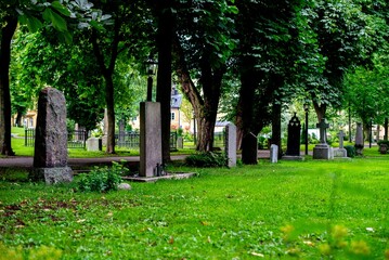 Tranquil graveyard setting with several headstones and a lush canopy of trees overhead