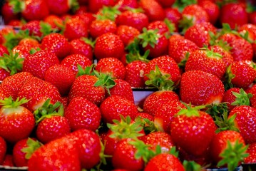 Colorful selection of fresh strawberries arrayed in a store shelf display, ready for purchase
