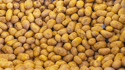 Big Bunch of Potatoes Vegetables at Farmers Market Stall