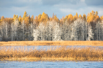 Serene autumnal landscape of Emajogi River in Tartu County, Estonia
