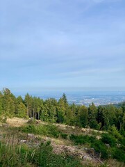 Scenic view of a green forest in a vast landscape