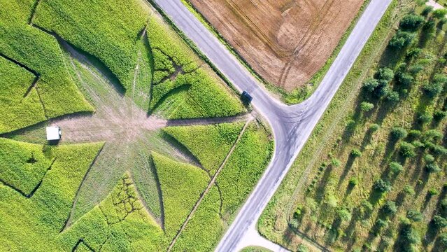 Aerial view top down of a hemp cannabis field with a beautifully mowed large-scale cannabis leaf