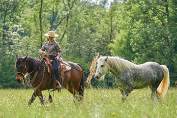 Cowgirl leading a horse in the woods and fields
