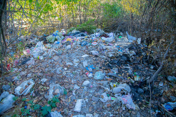 Discarded Trash in Forest During Autumn