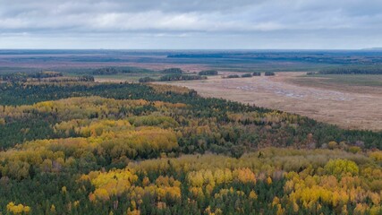 Aerial view of the autumn-colored woodland and Muraka bog in Alutaguse National Park, Estonia.