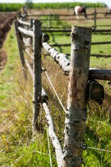 Fototapeta premium Rustic wooden fence running through a lush grassy field