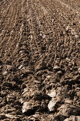Freshly plowed field with dirt and rocks