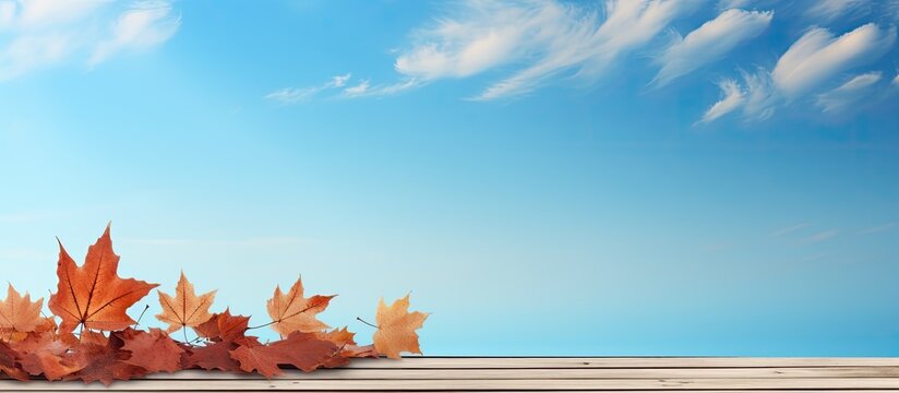 Wood floor scene of Autumn maple leaves in blue sky Background with copy space for display product decorate design