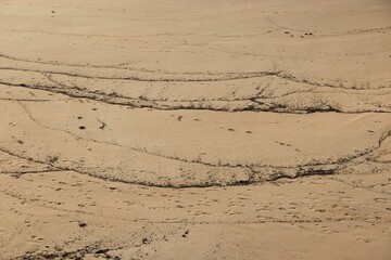 a person holding a surfboard on the beach in the sand