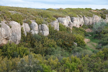 Parc public de Magenta en Provence site classé