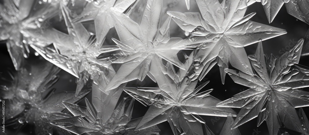 Poster ice crystals macro by refrigerator frost bw. copy space available