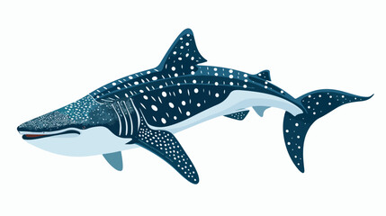 Sea whale shark with dots online back. Big ocean fish.