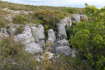 Parc public de Magenta en Provence site classé
