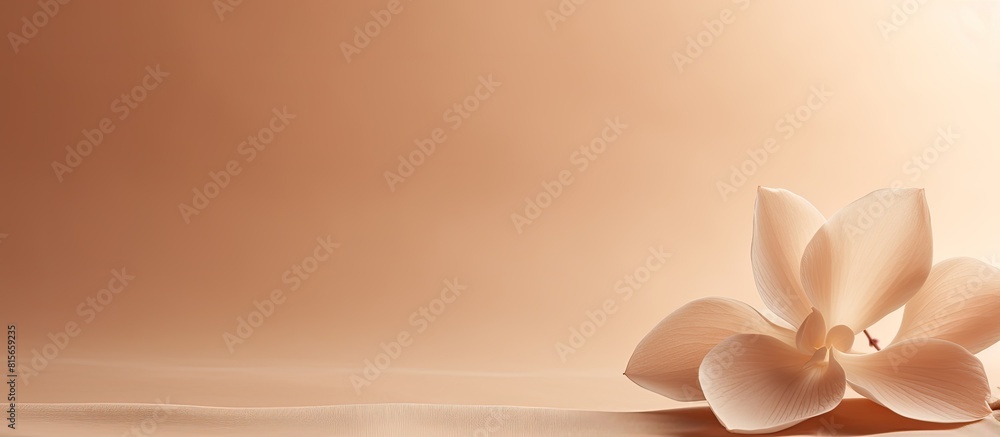 Aufkleber Stones platform podium flower petal on beige background Minimal empty display product presentation scene. copy space available