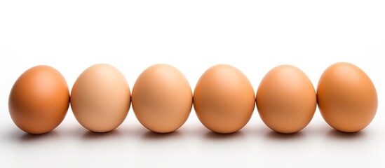 eggs on a white background. copy space available