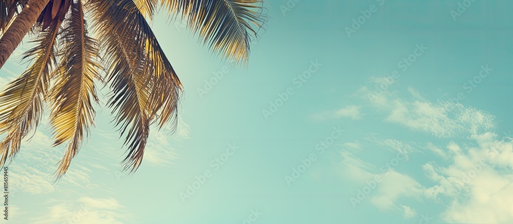 Aufkleber palm trees against blue sky palm tree leaves at tropical coast vintage toned and stylized coconut tr