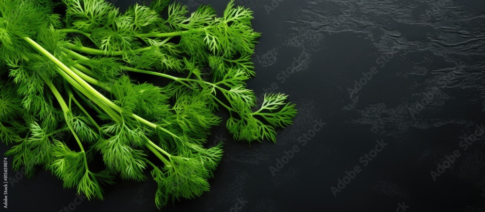 Poster fresh green bunch of dill on black slate background with free copy space for text