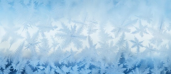 frosty pattern on the window. copy space available