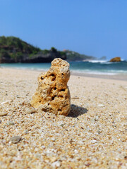 standing coral reef at tropical beach during summer, sadranan beach.