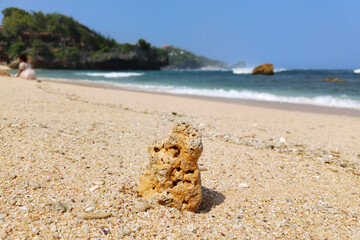 standing coral reef at tropical beach during summer, sadranan beach.