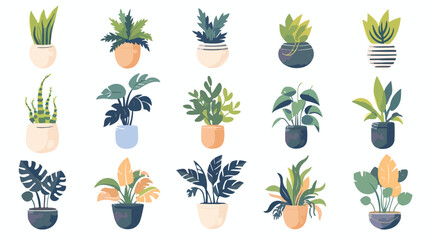 Set office different plants in flat style. Vector collect