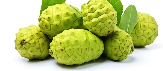 Fototapeta premium Exotic Fruit Noni on white background. copy space available