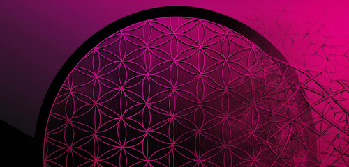 Gradient halftone Fuchsia and black Flower of Life.