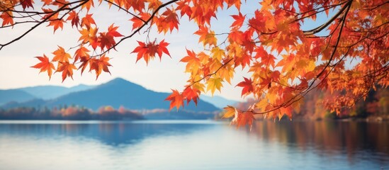 Seasonal autumn background Frame of colorful maple leaves. copy space available