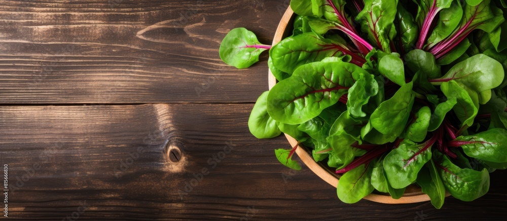 Poster overhead shot of fresh green salad with spinach arugula and beetroot leaves in bowl on old wooden ba