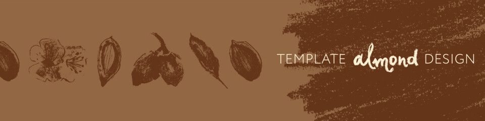 Almond tape for banner background or label template design. Organic almond seamless pattern. Garland almond nuts. Crayon drawings for almonds packaging or marzipan paste tag. Vector floral border.