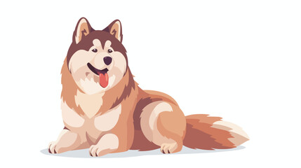 Cute Chinese Alaskan Malamute portrait. Funny canine