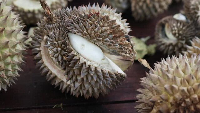 Durian fruit on rustic wooden table.