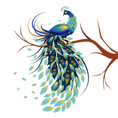 Colorful Peacocks isolated on white background. A drawing of a peacock with the words peacock on it