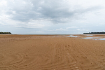 赤く広がる干潟