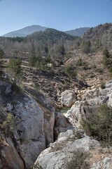 rocky and wooded terrain with trees and rocks in the foreground: Cingles de Vallcebre in Catalonia