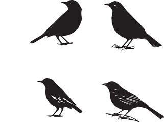 set of silhouettes of birds