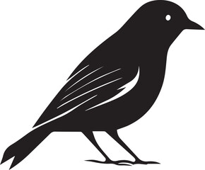 bird on a white background