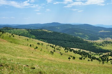 Fototapeta premium the lush green hills and valleys are dotted with trees in a valley: Zlatibor mountain, Serbia